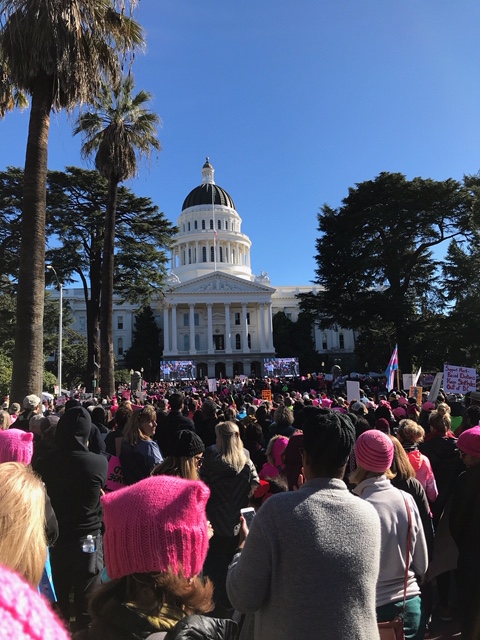 A large crowd of people in front of the capitol building.