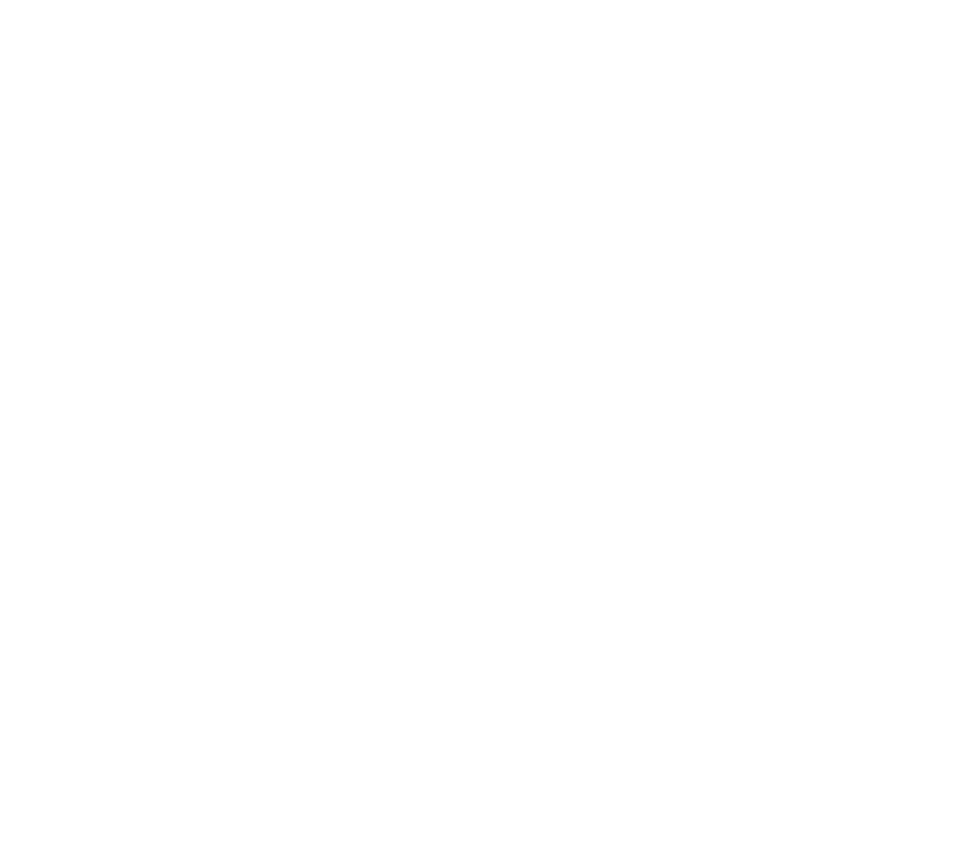 Bluesky White Logo