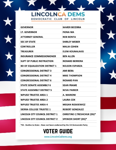 DCL Voter Guide